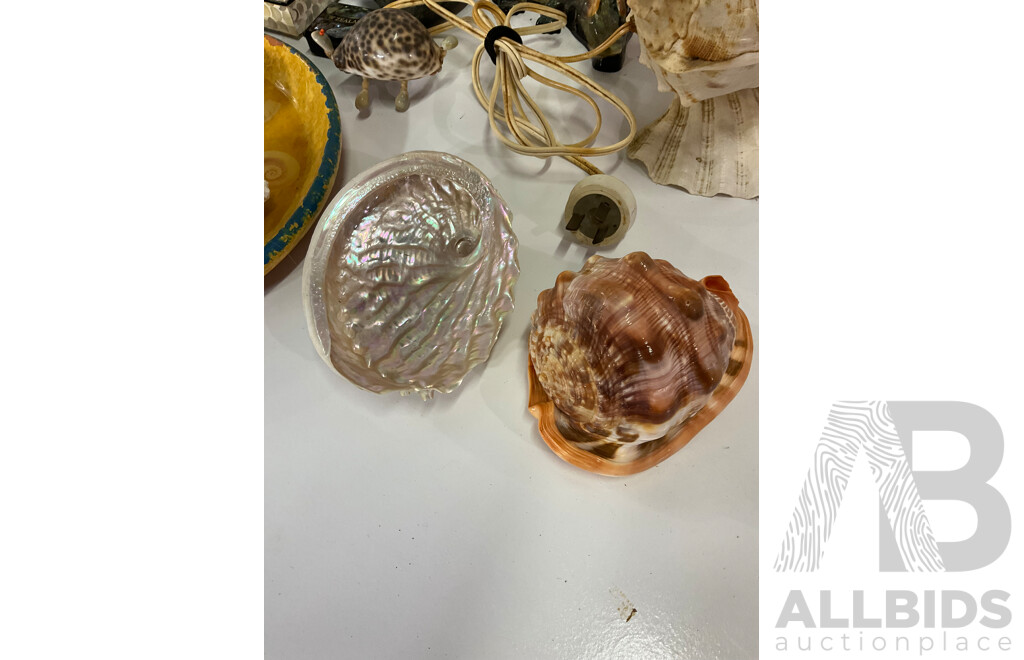 Large Collection of Sea Shell, Including Shell Lamp, Sea Shell Chandelier, Abalone Shell Art, Hot Plate Trivets, Mother of Pearl Shell and More
