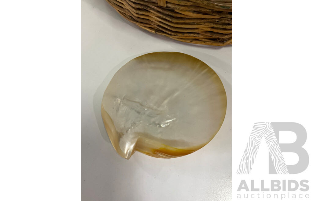 Large Collection of Sea Shell, Including Shell Lamp, Sea Shell Chandelier, Abalone Shell Art, Hot Plate Trivets, Mother of Pearl Shell and More