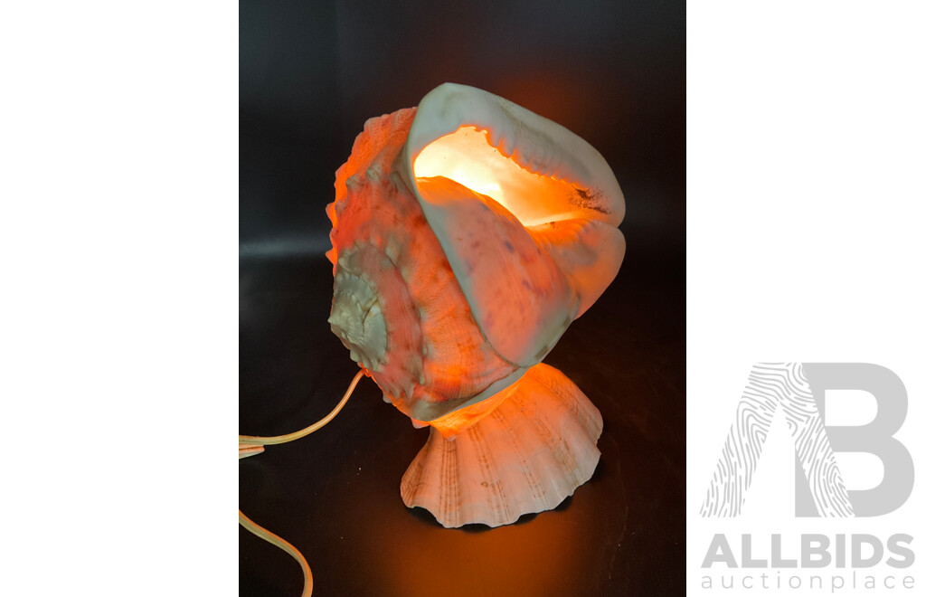 Large Collection of Sea Shell, Including Shell Lamp, Sea Shell Chandelier, Abalone Shell Art, Hot Plate Trivets, Mother of Pearl Shell and More