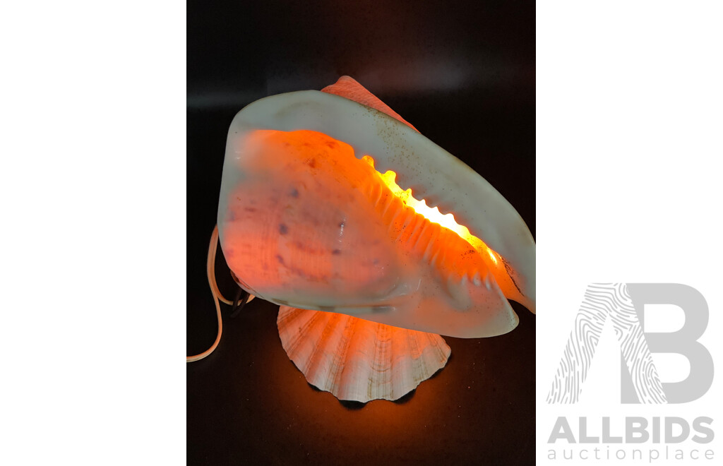 Large Collection of Sea Shell, Including Shell Lamp, Sea Shell Chandelier, Abalone Shell Art, Hot Plate Trivets, Mother of Pearl Shell and More