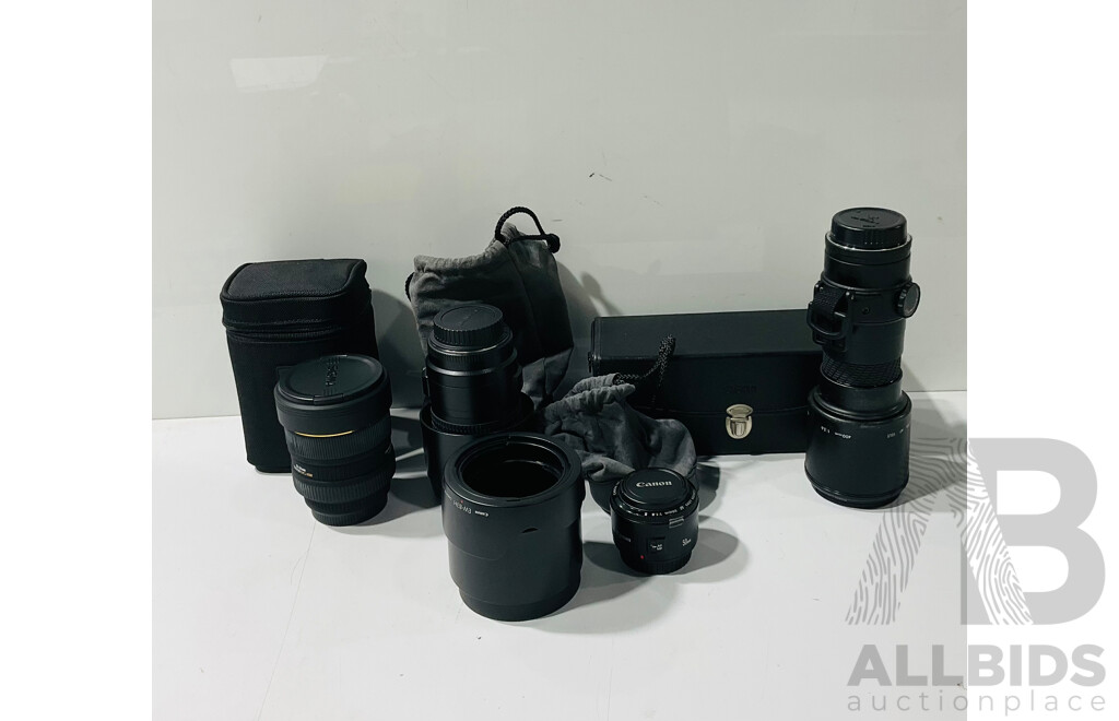 Collection Canon EF Lenses Including Zoom and More