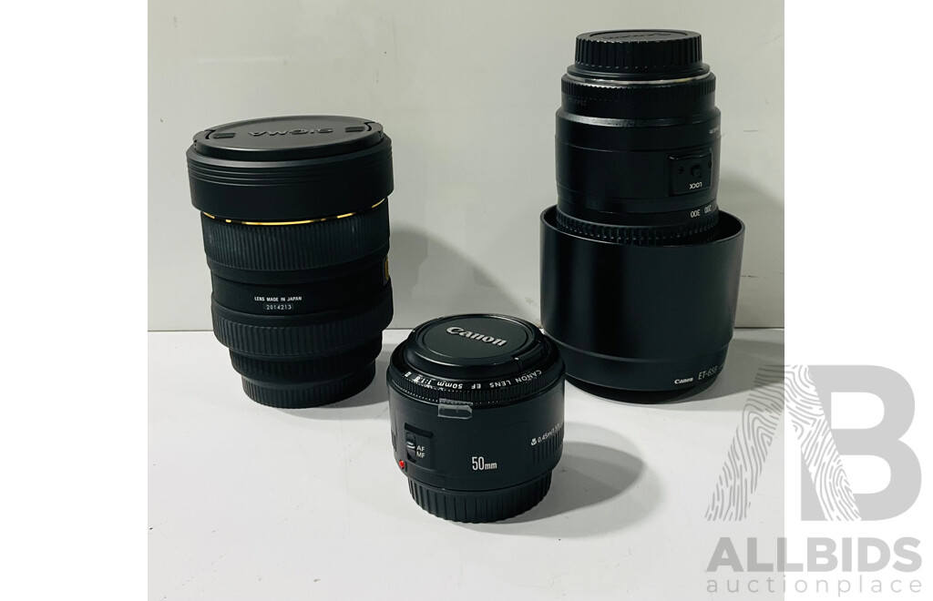 Collection Canon EF Lenses Including Zoom and More