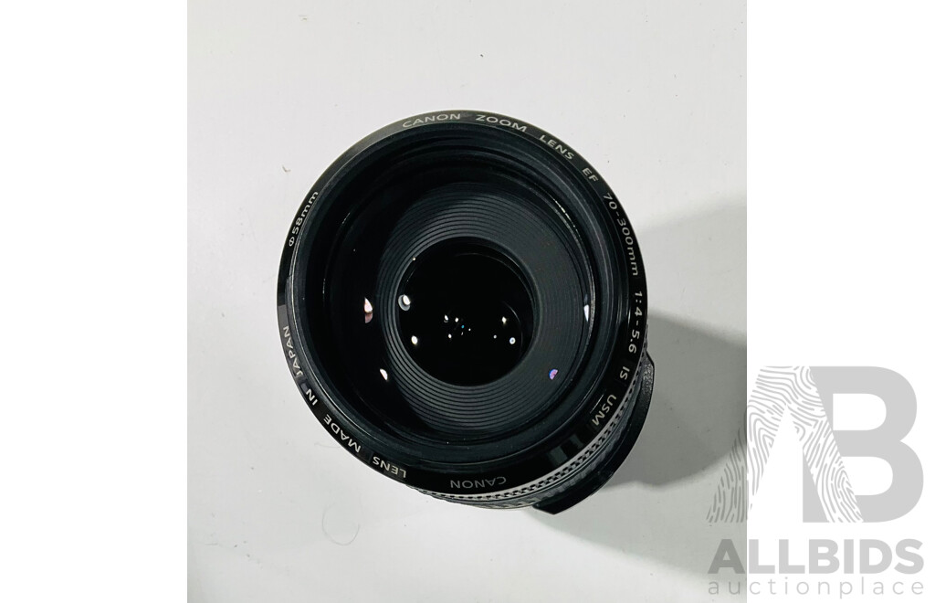 Collection Canon EF Lenses Including Zoom and More