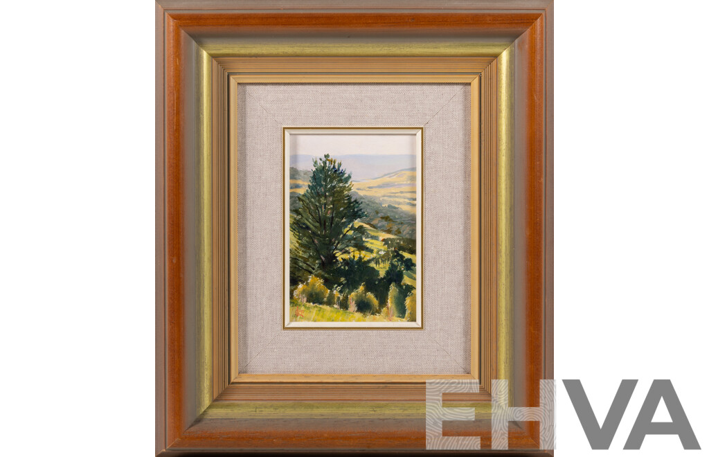 Kim Nelson, (20th Century, Australian, 1958-2015), Kangaroo Valley, Oil on Canvas Board, 36.5 x 31.5 cm (frame)