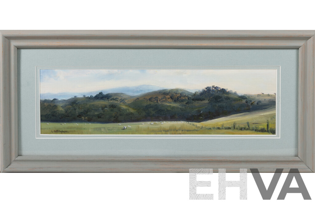 Lyn Cottingham, (20th Century, Australian), Brindabellas, Original Oil on Canvas Board, 26 x 56 cm (frame)