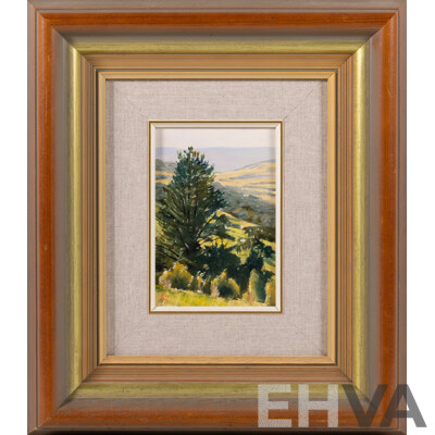 Kim Nelson, (20th Century, Australian, 1958-2015), Kangaroo Valley, Oil on Canvas Board, 36.5 x 31.5 cm (frame)