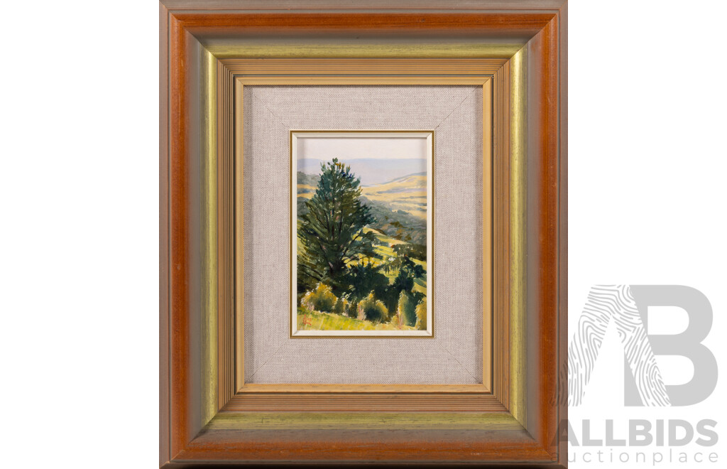 Kim Nelson, (20th Century, Australian, 1958-2015), Kangaroo Valley, Oil on Canvas Board, 36.5 x 31.5 cm (frame)