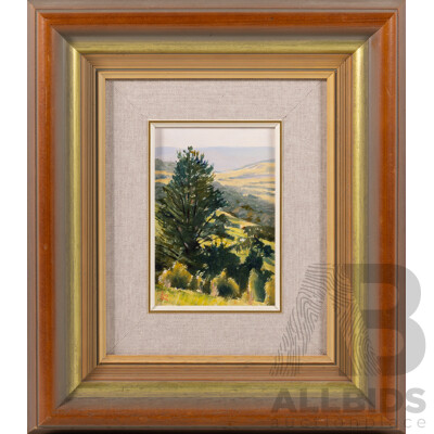 Kim Nelson, (20th Century, Australian, 1958-2015), Kangaroo Valley, Oil on Canvas Board, 36.5 x 31.5 cm (frame)