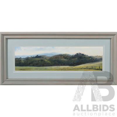 Lyn Cottingham, (20th Century, Australian), Brindabellas, Original Oil on Canvas Board, 26 x 56 cm (frame)