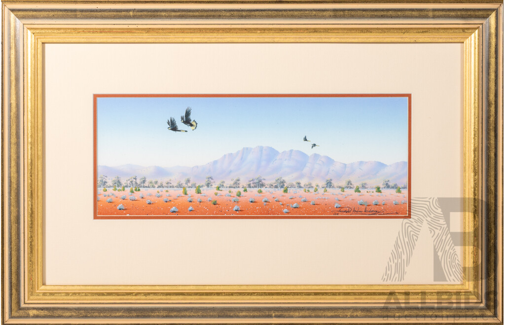 Peter Andrew Anderson, (20th Century, Australian, 1963-), Morlana Creek (Flinders Ranges) (1996), Original Acrylic on Card, 48 x 73 cm (frame)