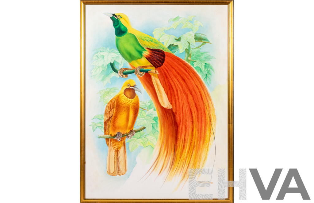 Charlie Nebita, (20th Century, PNG), Birds of Paradise, Original Oil on Canvas Board, 63 X 48 Cm (frame)