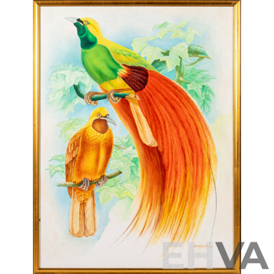 Charlie Nebita, (20th Century, PNG), Birds of Paradise, Original Oil on Canvas Board, 63 X 48 Cm (frame)