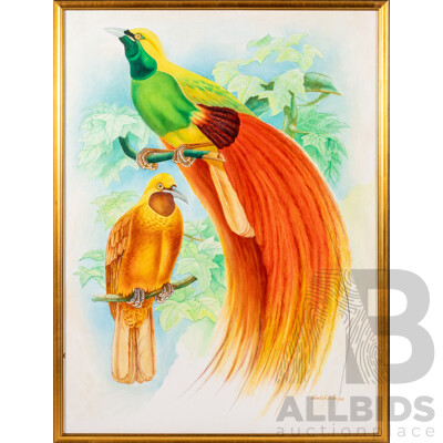 Charlie Nebita, (20th Century, PNG), Birds of Paradise, Original Oil on Canvas Board, 63 X 48 Cm (frame)