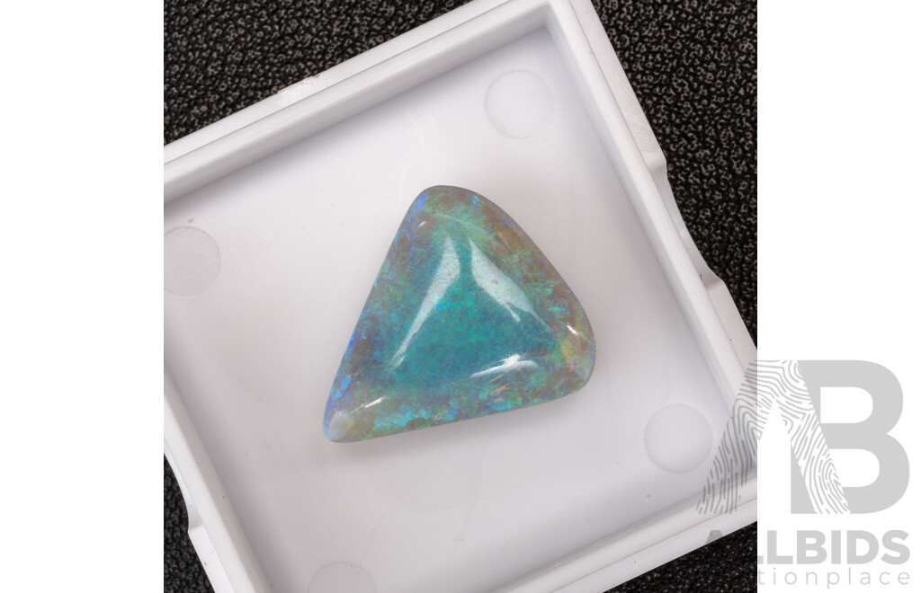 South Australian Solid Opal, Trilliant Cabochon, 13.85 Grams