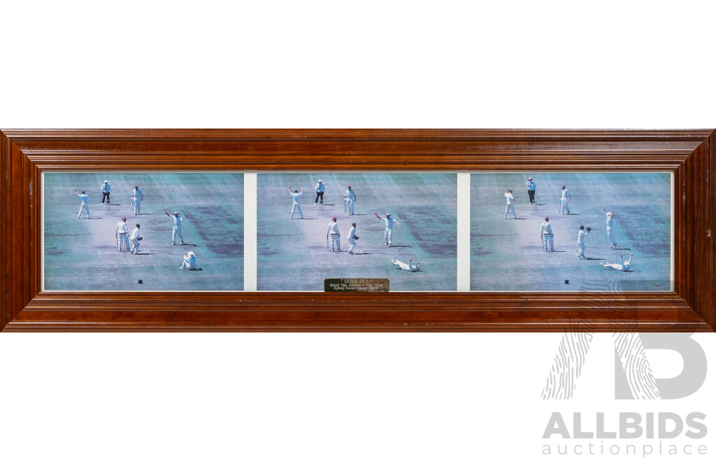 Framed Photo -  'Catch It!' Second Test Australia v West Indies  Sydney Cricket Ground 1996-97