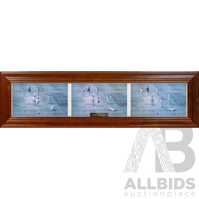 Framed Photo -  'Catch It!' Second Test Australia v West Indies  Sydney Cricket Ground 1996-97