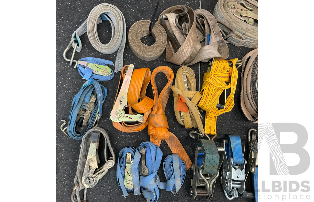 Assorted Heavy Duty Straps