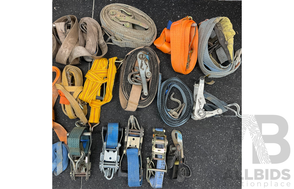 Assorted Heavy Duty Straps