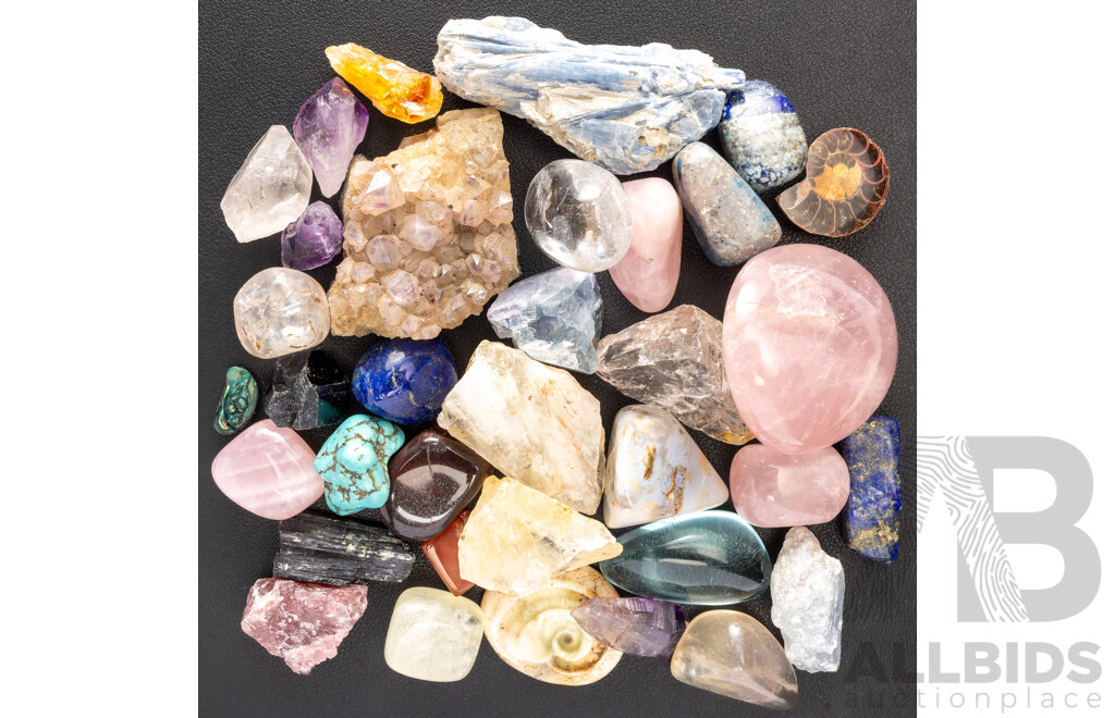 Collection of Polished and Rough Cut Natural Gemstones, Including Rose Quartz & Ammonite Fossil