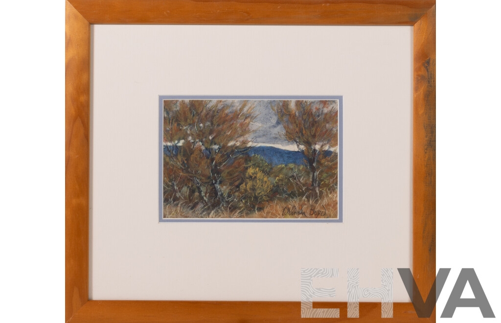 Lucinda Boyd, (20th Century, Australian, 1954-), Looking Towards Araluen Ranges Through Black She-Oaks, Sawyers Ridge, (c1998), Pastel on Canson Paper, 38 x 43 cm (frame)