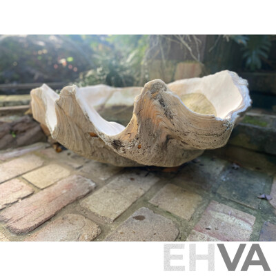 Giant Clamshell