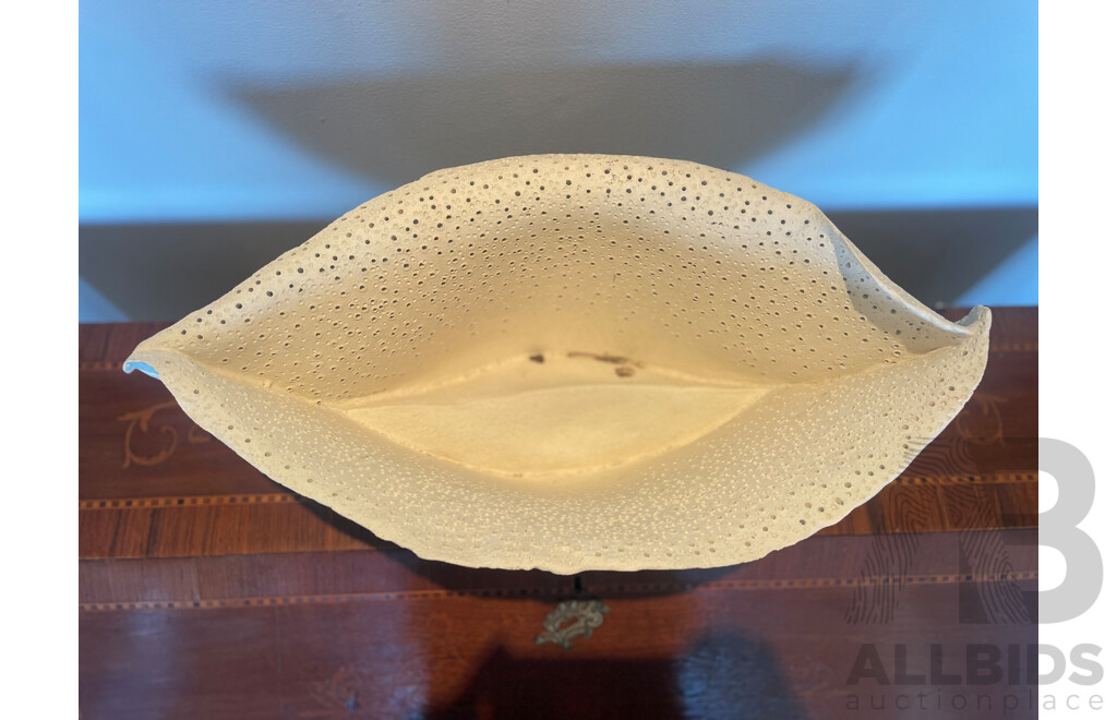 Organic Form Perforated Studio Bisque Fired Bowl