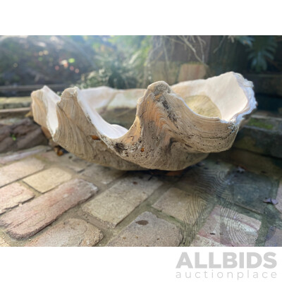 Giant Clamshell