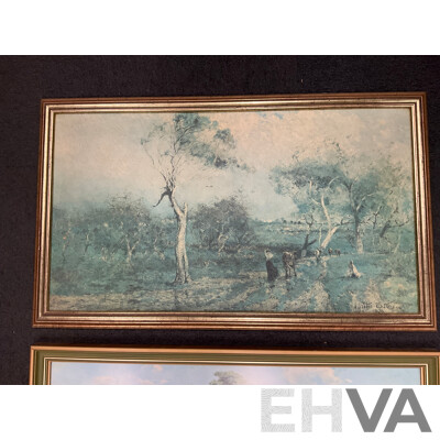 Framed Print - 