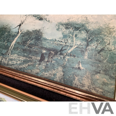 Framed Print - 