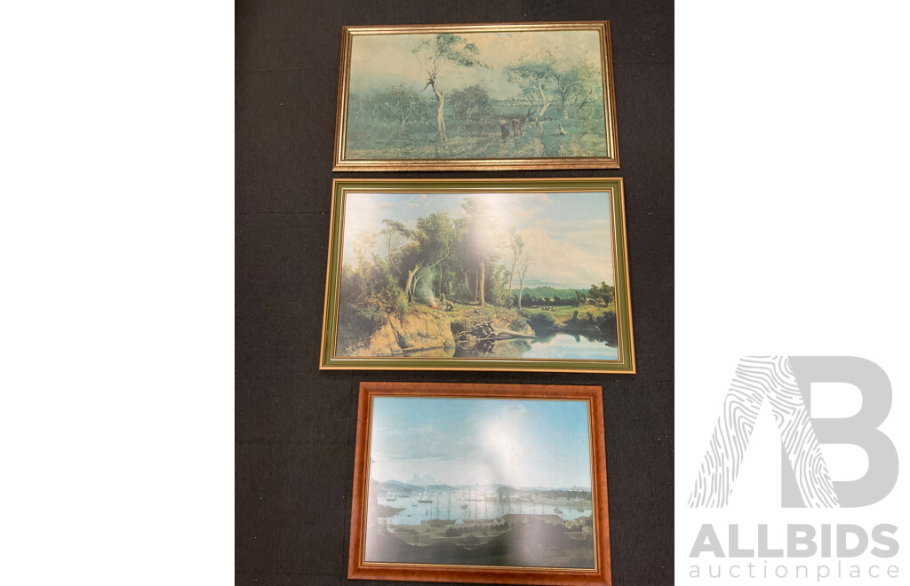 Framed Print - 