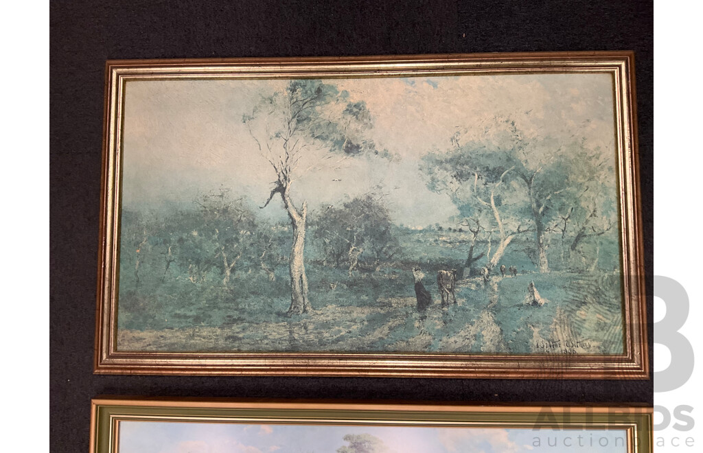 Framed Print - 