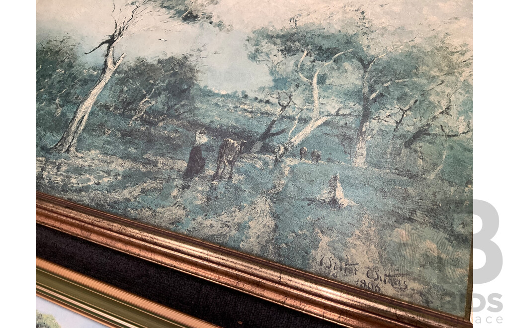 Framed Print - 