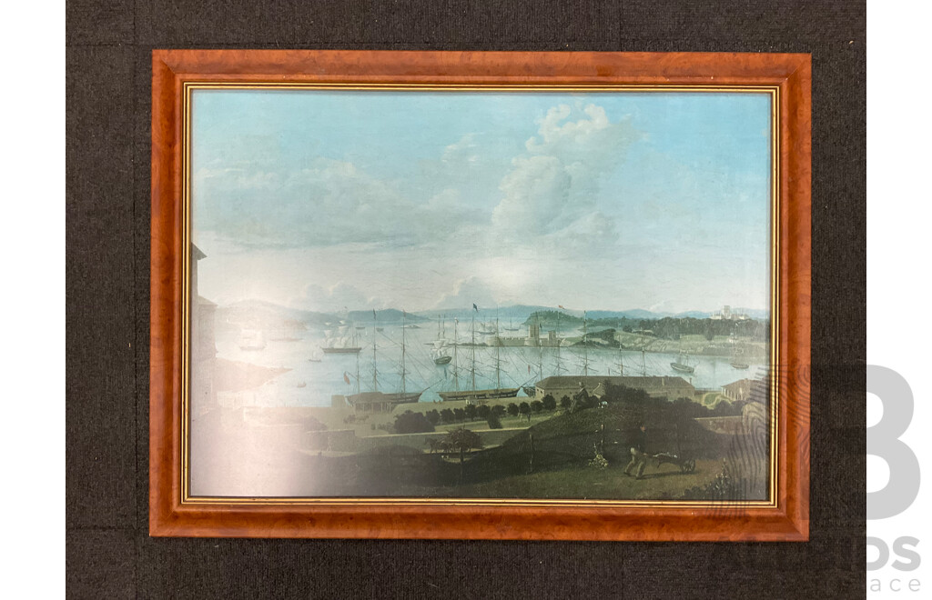 Framed Print - 