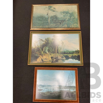 Framed Print - 