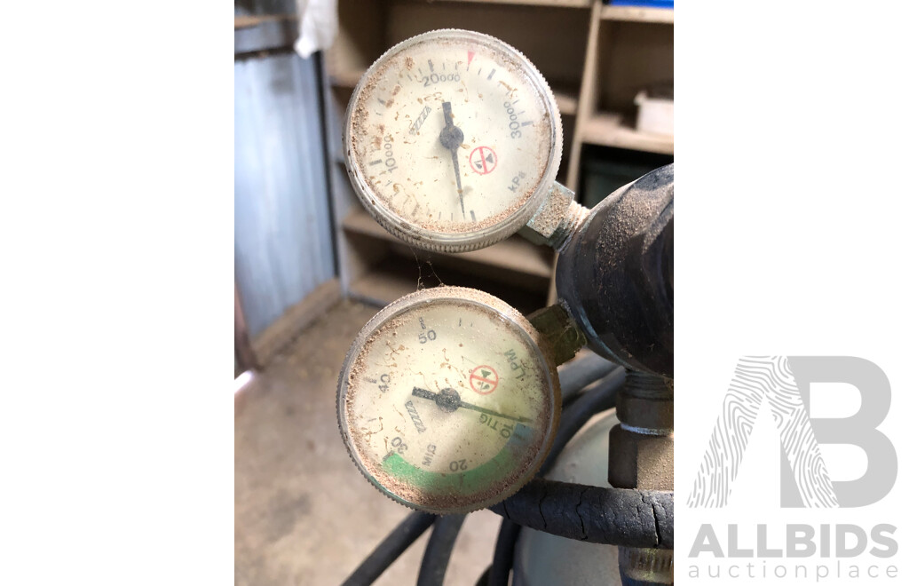 MigoMag 195 MIG Welder with Gas Cylinder
