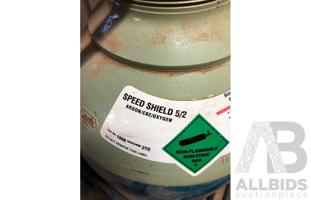 MigoMag 195 MIG Welder with Gas Cylinder
