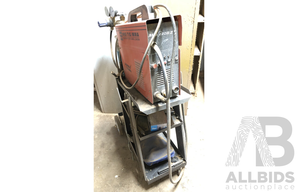 Rossi MIG 220BZ MIG/Tig Welder with Trolley and Gas Cylinder