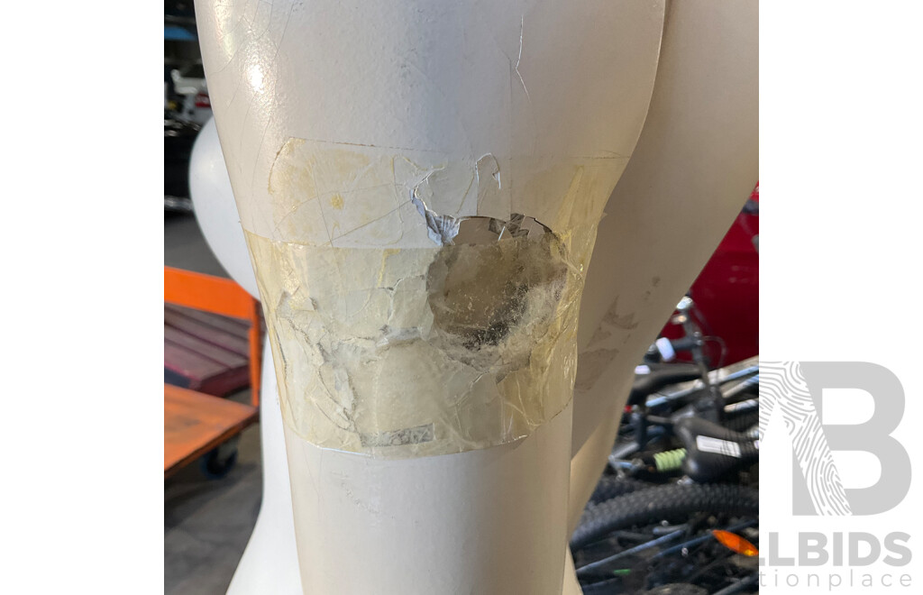 3x Female Mannequin
