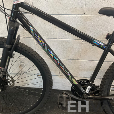 Everest Disc 29XLR (48cm Frame)
