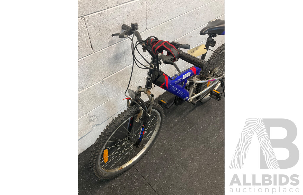 Dunlop Wild Bike (37cm Frame)