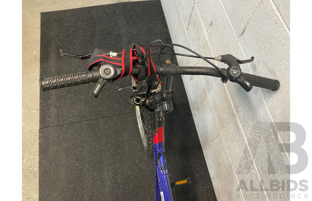 Dunlop Wild Bike (37cm Frame)