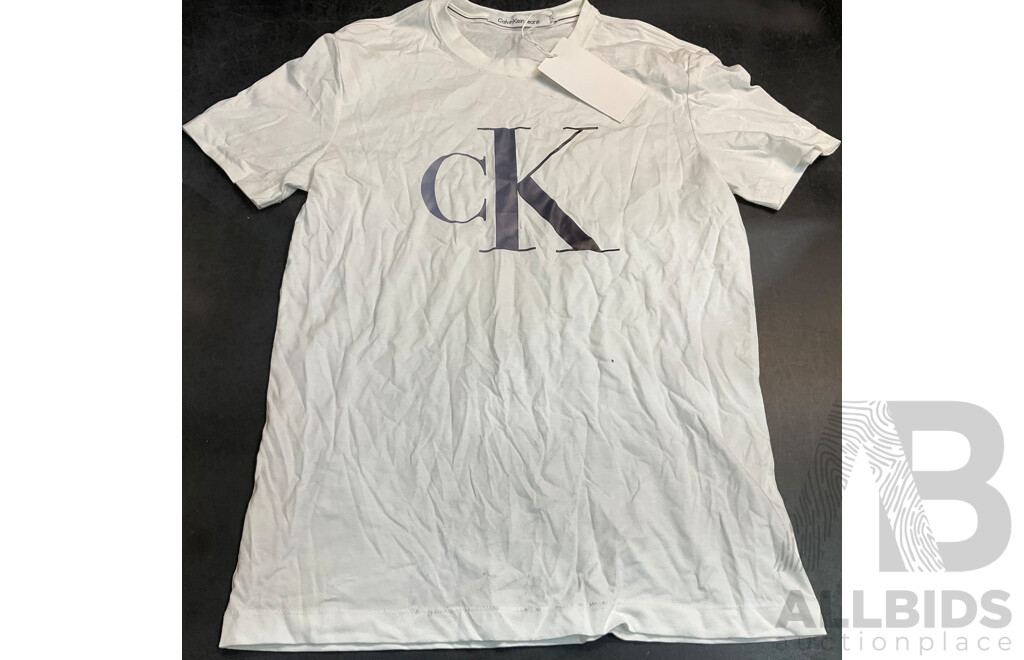 CALVIN KLEIN Hoodie/T-Shirt/Hat - Size L - Lot of 4