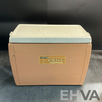 Vintage Household Items Collection - ESKY Portable Cooler, Bush Radio, Rambler Radio, Hecla Turbaire Fan