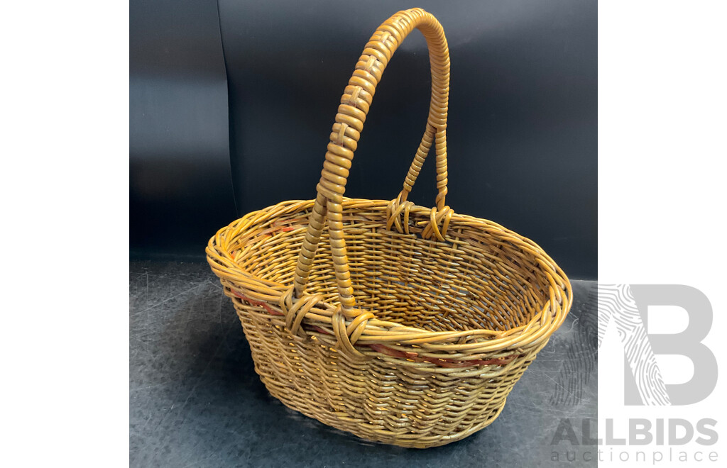 Vintage Suitcase, Picnic Basket, and Collection of Shells