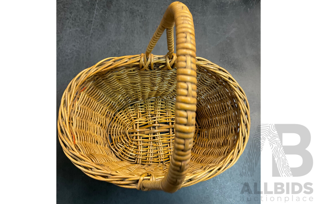 Vintage Suitcase, Picnic Basket, and Collection of Shells
