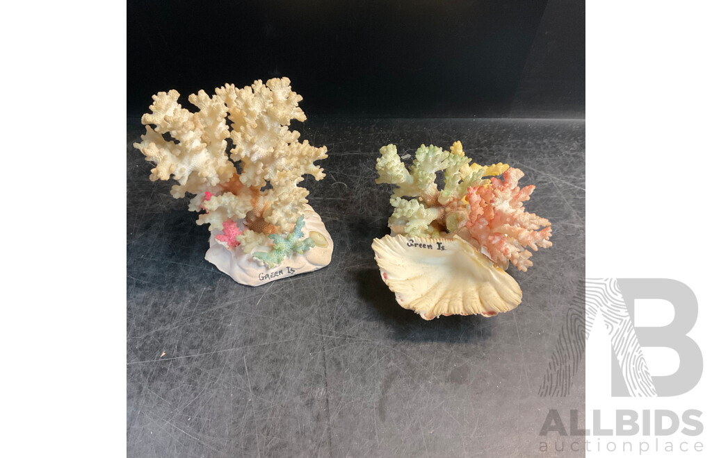 Assorted Seashell & Coral Collections