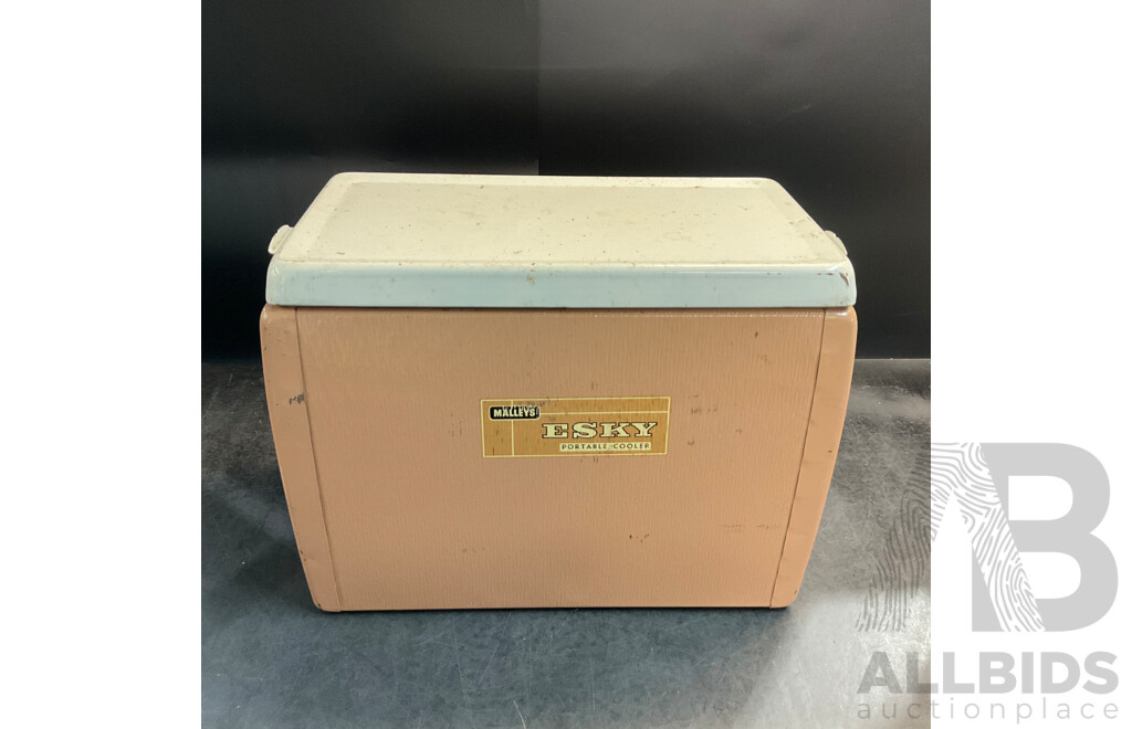 Vintage Household Items Collection - ESKY Portable Cooler, Bush Radio, Rambler Radio, Hecla Turbaire Fan