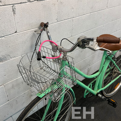 Holland Classic Cruiser Bicycle