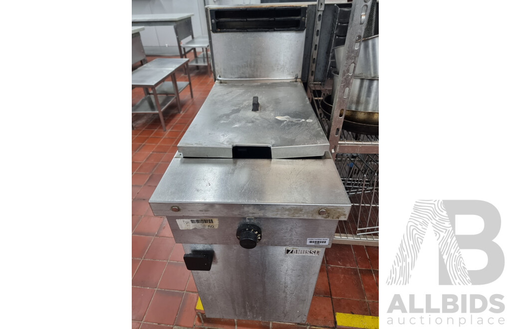 Zanussi Commercial Gas Deep Fryer