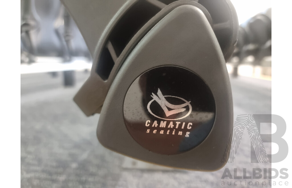 12 Rows of Camatic Theatre Seating on Carpeted Podium